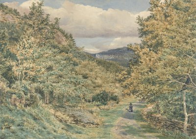 Un camino cerca de Bettws-y-Coed, 1851 de George Price Boyce